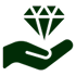 Core Values Icon